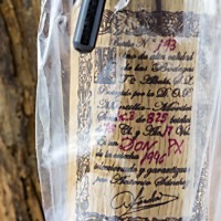 Don PX Convento Selección