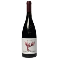 NERELLO CAPPUCCIO Terre Siciliane Rosso I CUSTODI (bio)