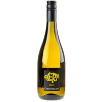 Corte Molino Glera Frizzante IGT Veneto