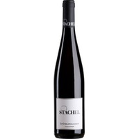 Spätburgunder Maikammer trocken - Weingut Erich Stachel