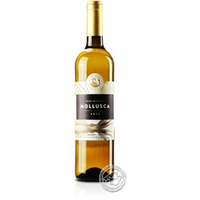 Vi Rei Mollusca Blanc, Vino Blanco 2022, 0,75-l-Flasche
