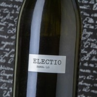 Parés Baltà Electio