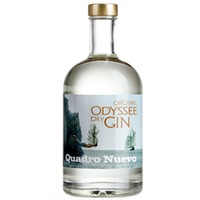 QUADRO NUEVO Odyssee Organic Dry Gin Dwersteg Bio