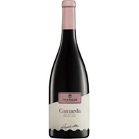 Camarda Brindisi Rosso DOP 0,75L 12,5% | Due Palme