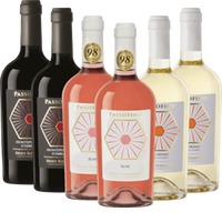 Passofino Weine von Feudi Bizantini - 6x Kennenlernpaket