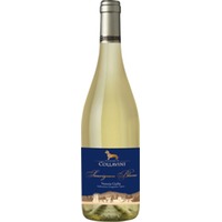 Sauvignon Blanc IGT Venezia Giulia
