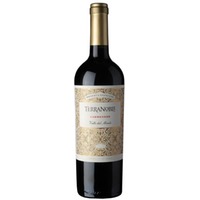 Carmenère Reserva Especial - Viñedos Terranoble (22,67 CHF pro 1 l)