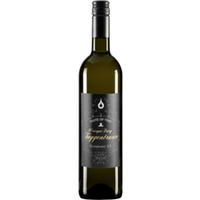 Taggenbrunn Symphonie xx