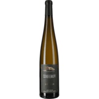 Schieferkopf lieu-dit Fels