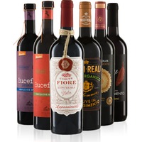 Appassimento-Paket groß