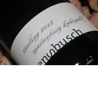 Pünderich MARIENBURG Riesling Kabinett Fass 2127 | VDP.Versteigerungswein