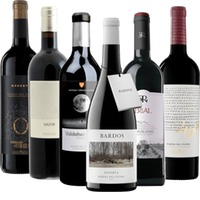 Spitzenweine aus Ribera del Duero - 6x Kennenlernpaket