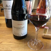 Avaniel Tinto