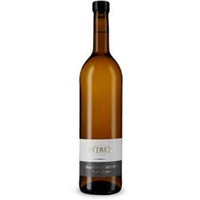 Grauburgunder S* Terra Fusca trocken