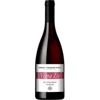 Blauburgunder Riserva 'Vigna Zis' Bio - Weingut Brunnenhof