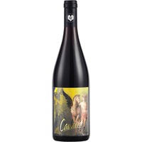 Cavallo- Pinot Noir - Weingut Giefing