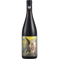 Cavallo- Pinot Noir trocken - Weingut Giefing