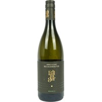 Weingut Edlinger Grüner Veltliner Galgenberg "plus"