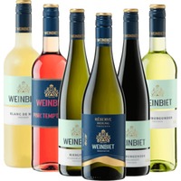 6er Probierpaket - Weine aus der Pfalz von Weinbiet Manufaktur