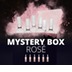 6er Mystery Box - Reise ins Rosé - Ihre Überraschungsreise in die Roséwelt vo 