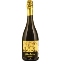 Trento Dosaggio Zero 72 Mesi Riserva Doss Agù Metodo Classico - Castel Noarna