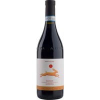 Langhe Barbera Amphorae DOC trocken - Cascina Corte