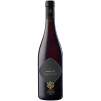 Merlot Trentino DOC 0,75l 13% - | Lavis