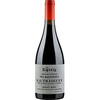 Vino de Viñedo Los Parientes Pinot Noir DO Traiguén