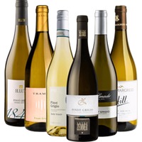 Spritzige Pinot Grigio Weißweine aus Italien - 6x Probierpaket