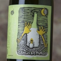 Caroline Ledédenté Grain de Minuit