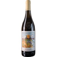 Soave Classico Superiore Castellaro DOCG Domini Veneti 0,75l 13% - | Negrar