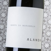 Alanda Tinto