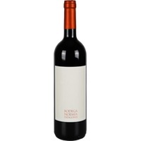 Malbec - Bodega Noemia