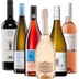 Sommerliche Weine für die Gartenparty - 6x Probierpaket 