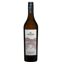 Weingut Pfeifer Sauvignon Blanc Vulkanland Steiermark DAC