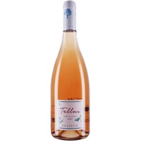 Falesco Tellus Rosé di Syrah