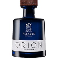 Pegasus : Orion