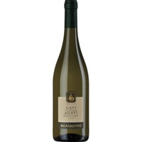 Gavi DOCG - Scanavino