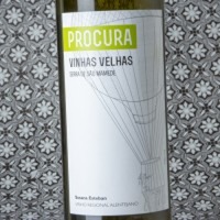 Susana Esteban Procura Vinhas Velhas Branco