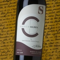 Dominio de Calogía Cuvée S