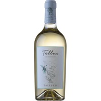 Tellus Chardonnay Bianco Lazio IGP - Falesco