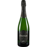 Spumante Overture Trento DOC brut - Delaiti