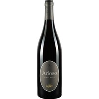 Arioso Pinot Nero Vigneti delle Dolomiti IGP trocken - Delaiti