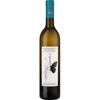 Ried Steinbach Grauburgunder Südsteiermark DAC, Erste STK Ried