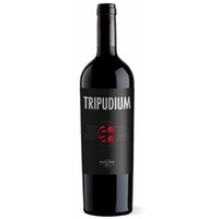 Tripudium Rosso IGT Terre Siciliane 0,75l 14% - | Carlo Pellegrino