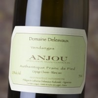 Delesvaux Anjou Blanc Authentique Franc de Pied