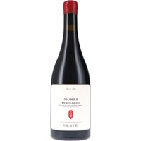 Morei Cilindrica Teroldego Vigneti delle Dolomiti IGT