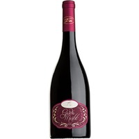 Garda Merlot DOC Colli Vai Bo 2021