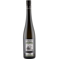 Weingut Bernhard Ott Grüner Veltliner Feuersbrunner Spiegel 1 ÖWT