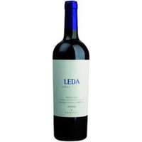 Vina Viejas Castilla y Leon